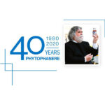 قرص فیتو مدل 1980 ایتالیا